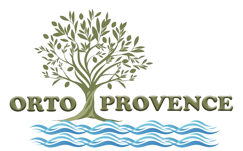 logo orto 4 vague jpeg